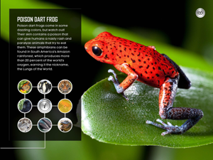 Kids Discover Space Wall